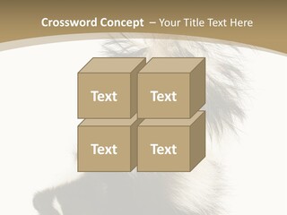 A Skunky Skunky Skunky Skunky Skunky PowerPoint Template