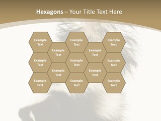 A Skunky Skunky Skunky Skunky Skunky PowerPoint Template