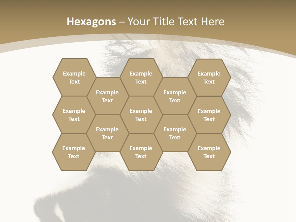 A Skunky Skunky Skunky Skunky Skunky PowerPoint Template