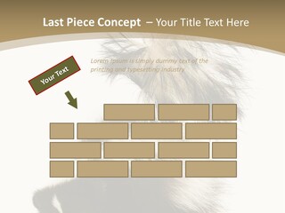 A Skunky Skunky Skunky Skunky Skunky PowerPoint Template