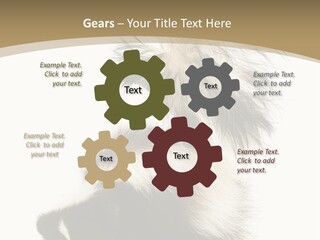 A Skunky Skunky Skunky Skunky Skunky PowerPoint Template
