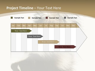 A Skunky Skunky Skunky Skunky Skunky PowerPoint Template