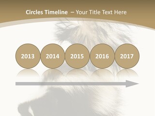 A Skunky Skunky Skunky Skunky Skunky PowerPoint Template