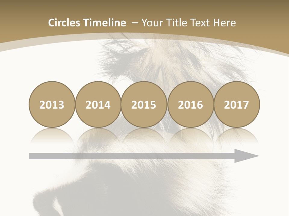 A Skunky Skunky Skunky Skunky Skunky PowerPoint Template