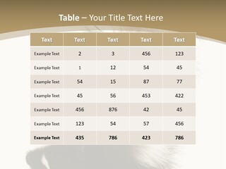 A Skunky Skunky Skunky Skunky Skunky PowerPoint Template