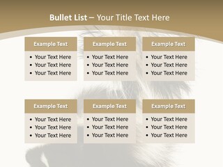 A Skunky Skunky Skunky Skunky Skunky PowerPoint Template