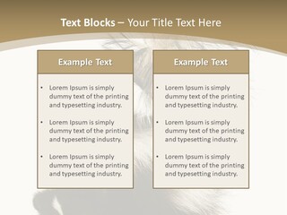 A Skunky Skunky Skunky Skunky Skunky PowerPoint Template