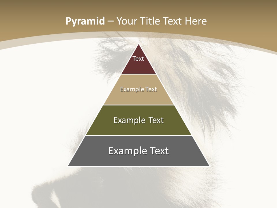A Skunky Skunky Skunky Skunky Skunky PowerPoint Template