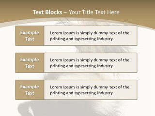 A Skunky Skunky Skunky Skunky Skunky PowerPoint Template
