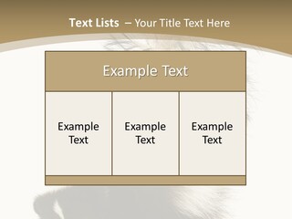 A Skunky Skunky Skunky Skunky Skunky PowerPoint Template