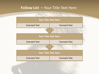 A Skunky Skunky Skunky Skunky Skunky PowerPoint Template