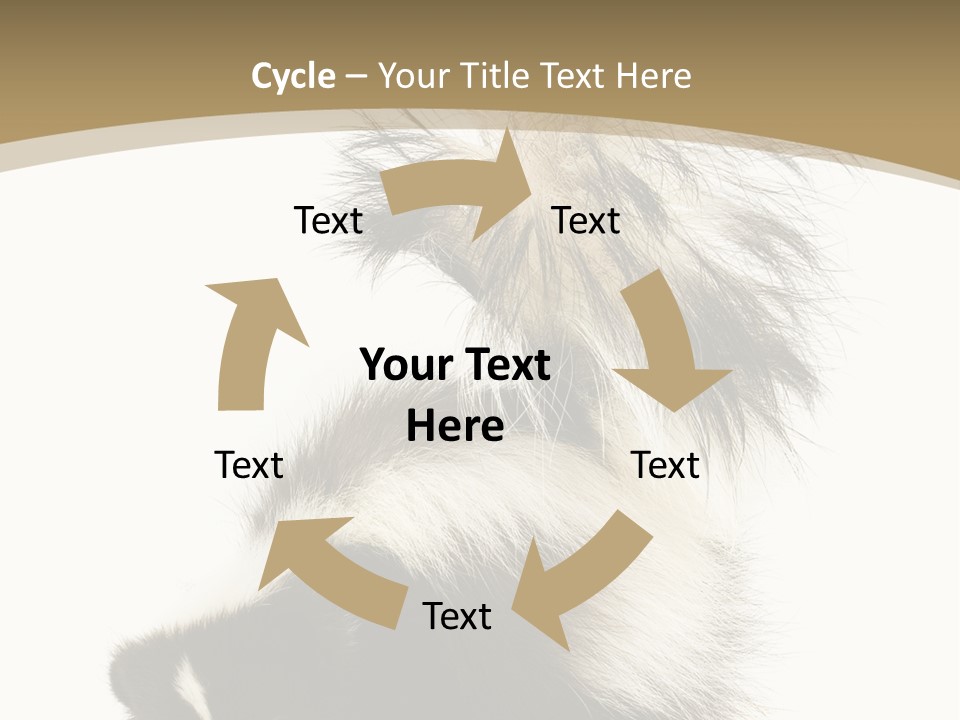A Skunky Skunky Skunky Skunky Skunky PowerPoint Template