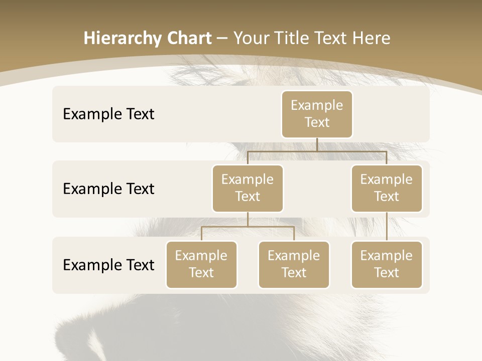 A Skunky Skunky Skunky Skunky Skunky PowerPoint Template