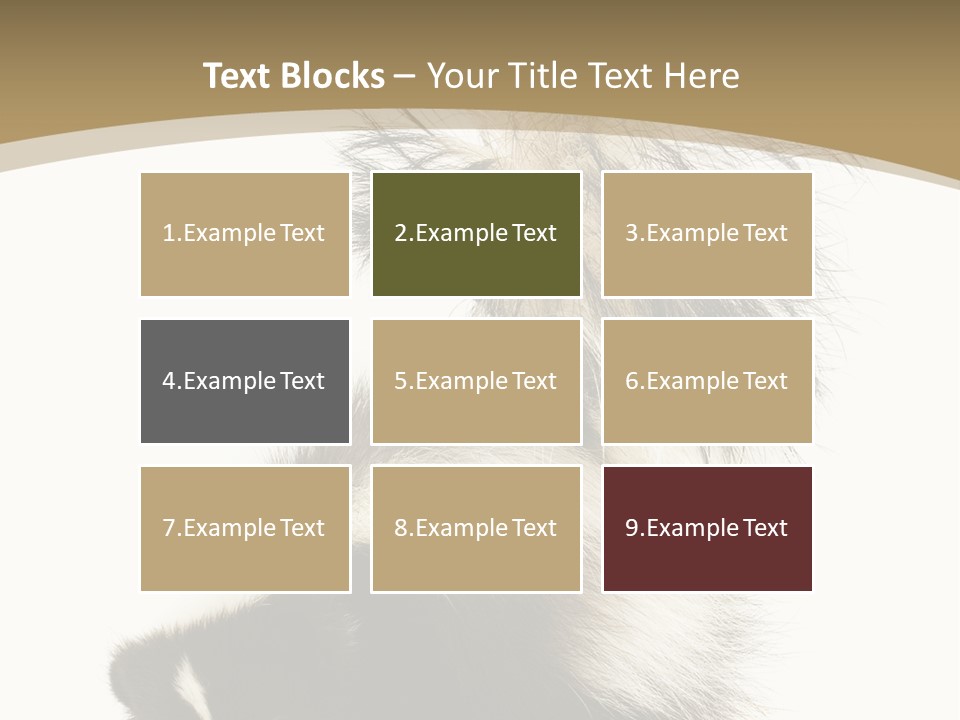 A Skunky Skunky Skunky Skunky Skunky PowerPoint Template