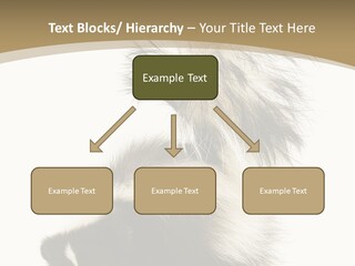 A Skunky Skunky Skunky Skunky Skunky PowerPoint Template