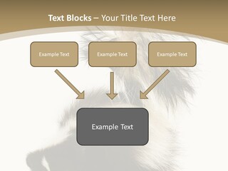 A Skunky Skunky Skunky Skunky Skunky PowerPoint Template