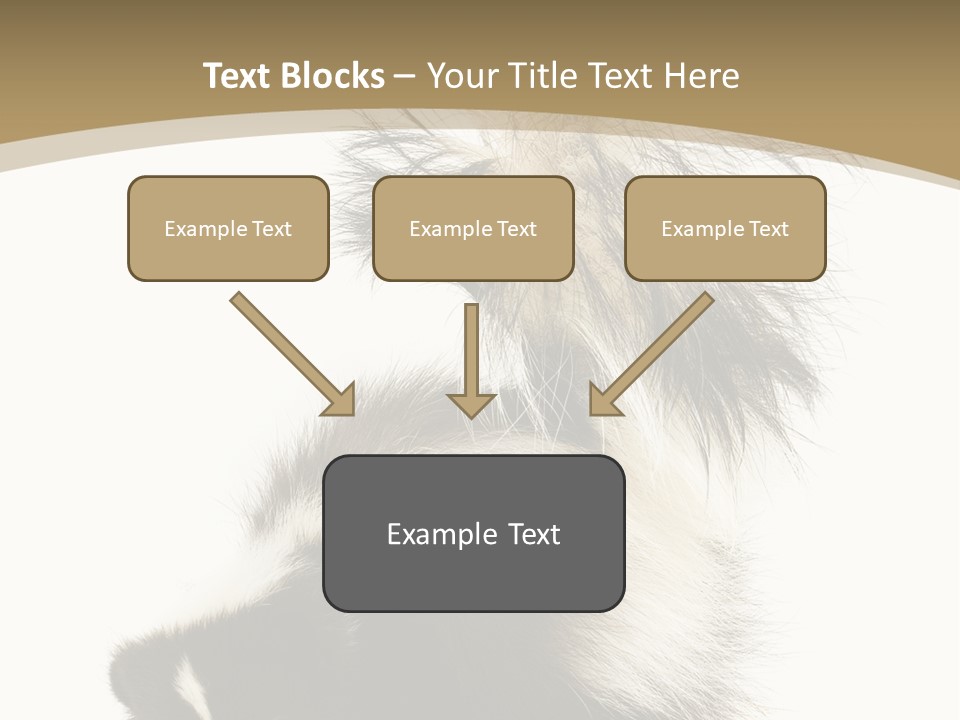 A Skunky Skunky Skunky Skunky Skunky PowerPoint Template