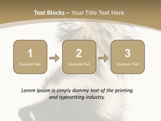 A Skunky Skunky Skunky Skunky Skunky PowerPoint Template