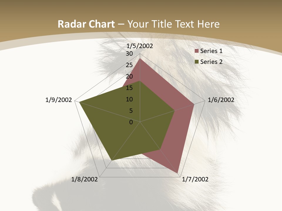 A Skunky Skunky Skunky Skunky Skunky PowerPoint Template