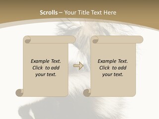 A Skunky Skunky Skunky Skunky Skunky PowerPoint Template