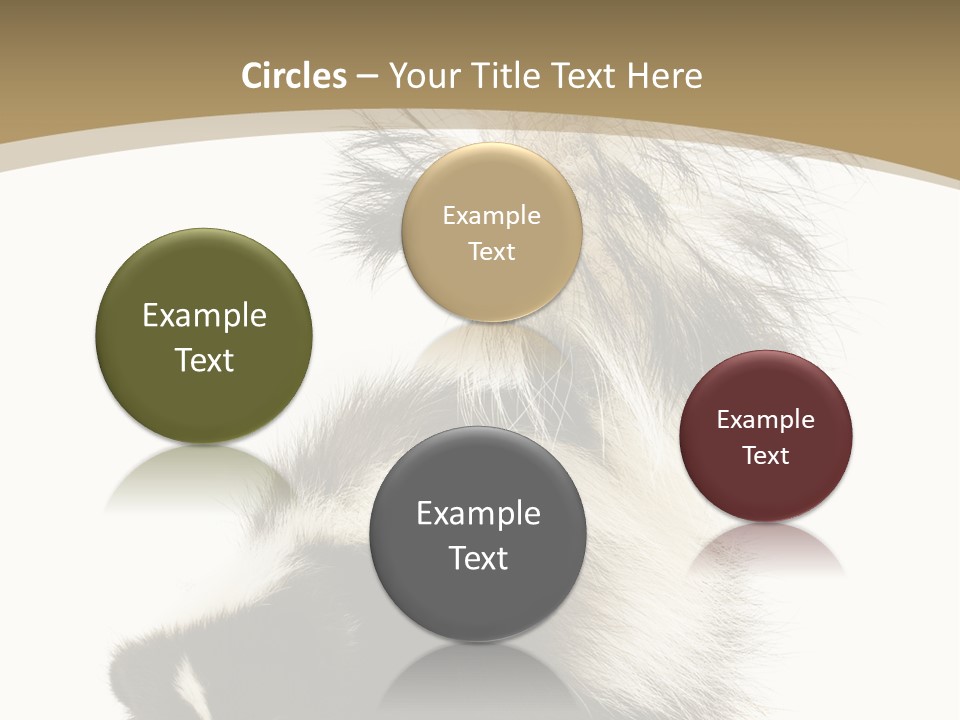 A Skunky Skunky Skunky Skunky Skunky PowerPoint Template