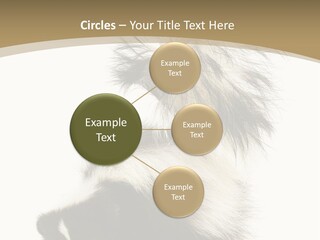 A Skunky Skunky Skunky Skunky Skunky PowerPoint Template