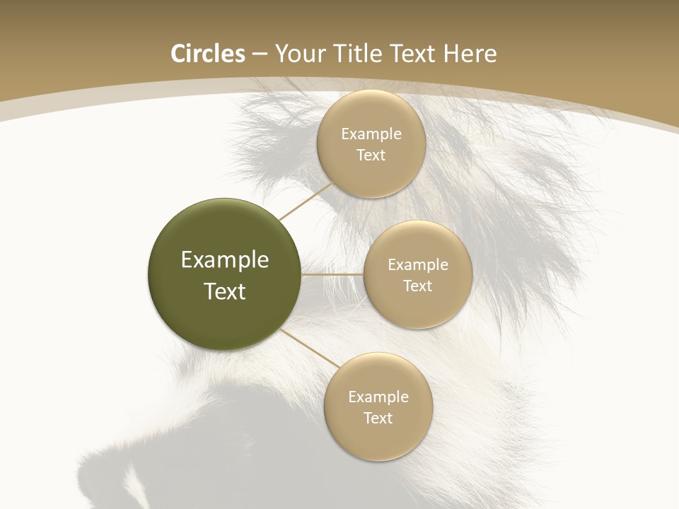 A Skunky Skunky Skunky Skunky Skunky PowerPoint Template