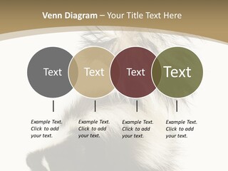 A Skunky Skunky Skunky Skunky Skunky PowerPoint Template