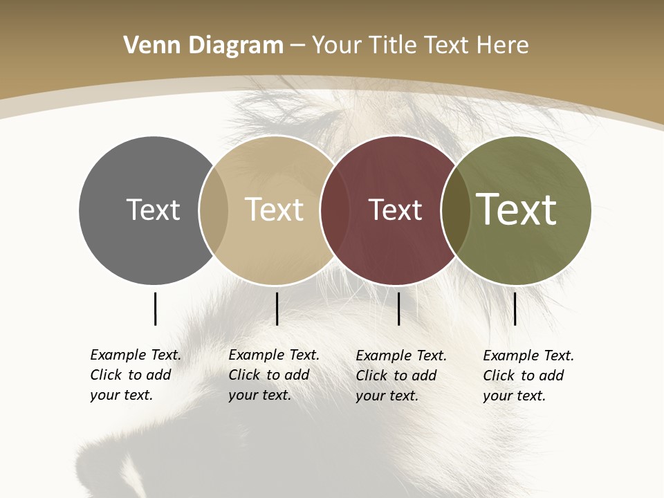 A Skunky Skunky Skunky Skunky Skunky PowerPoint Template