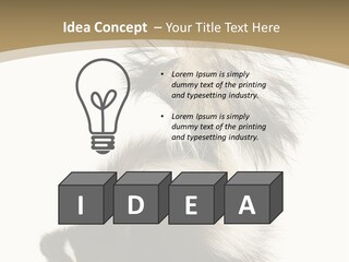 A Skunky Skunky Skunky Skunky Skunky PowerPoint Template