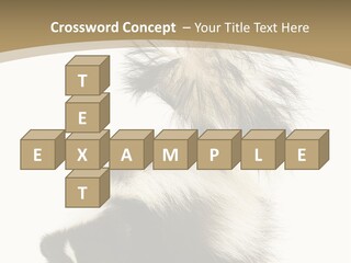 A Skunky Skunky Skunky Skunky Skunky PowerPoint Template