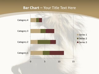 A Skunky Skunky Skunky Skunky Skunky PowerPoint Template