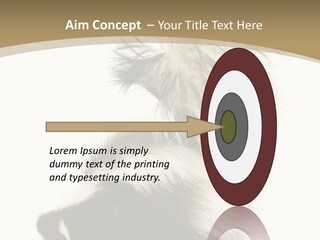 A Skunky Skunky Skunky Skunky Skunky PowerPoint Template