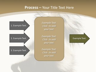 A Skunky Skunky Skunky Skunky Skunky PowerPoint Template
