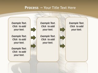 A Skunky Skunky Skunky Skunky Skunky PowerPoint Template