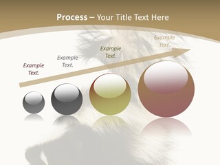 A Skunky Skunky Skunky Skunky Skunky PowerPoint Template