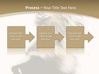 A Skunky Skunky Skunky Skunky Skunky PowerPoint Template