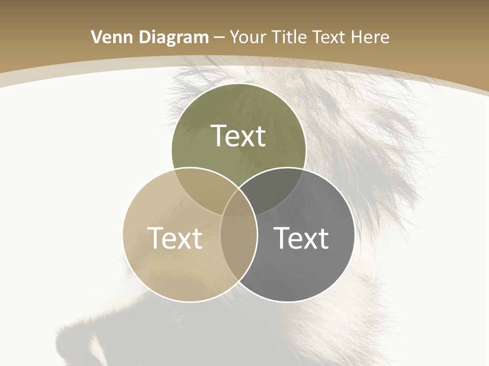 A Skunky Skunky Skunky Skunky Skunky PowerPoint Template