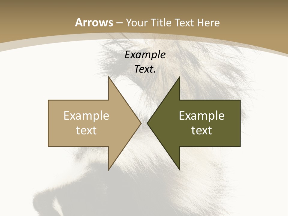 A Skunky Skunky Skunky Skunky Skunky PowerPoint Template