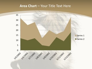 A Skunky Skunky Skunky Skunky Skunky PowerPoint Template