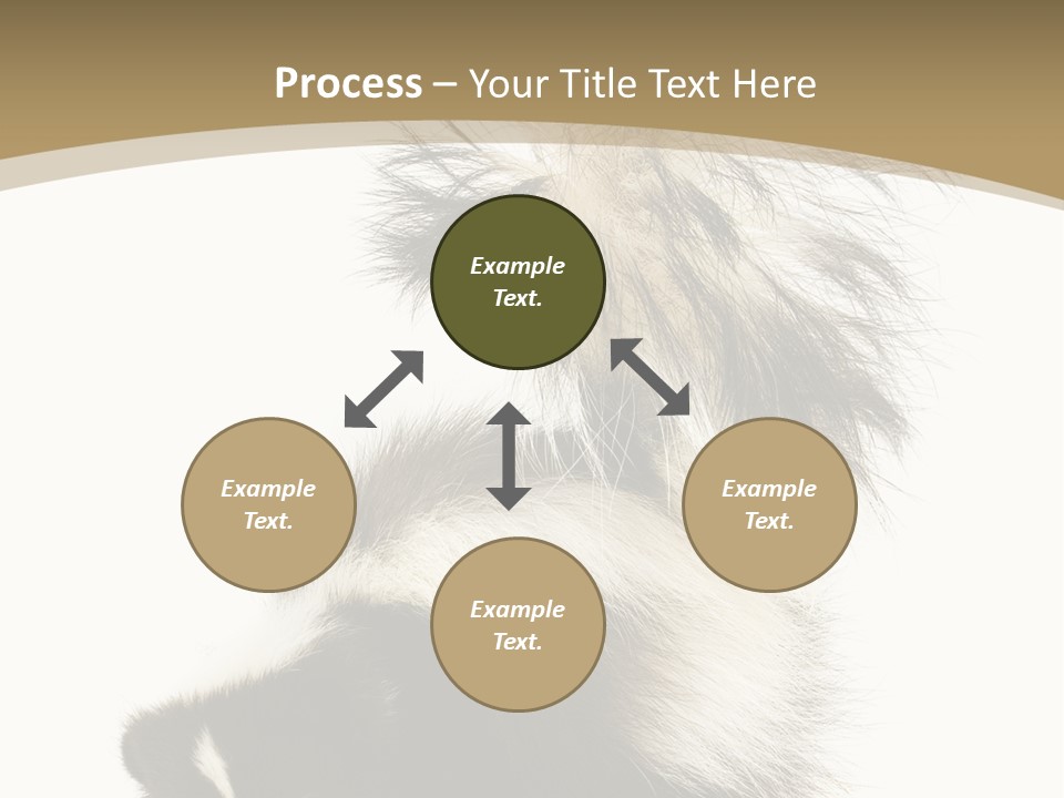 A Skunky Skunky Skunky Skunky Skunky PowerPoint Template