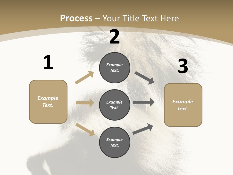 A Skunky Skunky Skunky Skunky Skunky PowerPoint Template