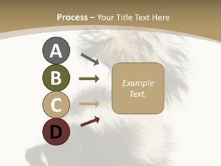 A Skunky Skunky Skunky Skunky Skunky PowerPoint Template