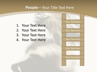 A Skunky Skunky Skunky Skunky Skunky PowerPoint Template