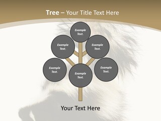 A Skunky Skunky Skunky Skunky Skunky PowerPoint Template