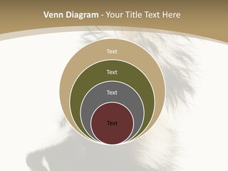 A Skunky Skunky Skunky Skunky Skunky PowerPoint Template