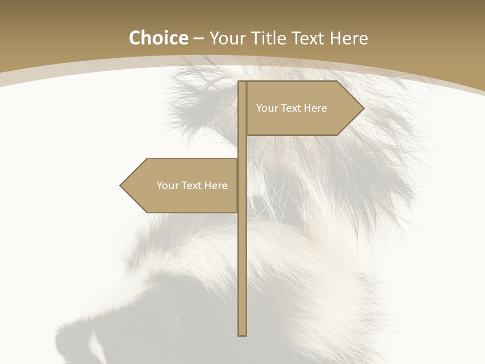 A Skunky Skunky Skunky Skunky Skunky PowerPoint Template
