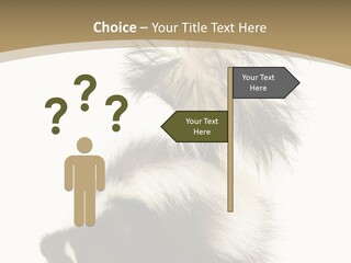 A Skunky Skunky Skunky Skunky Skunky PowerPoint Template
