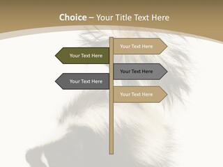 A Skunky Skunky Skunky Skunky Skunky PowerPoint Template