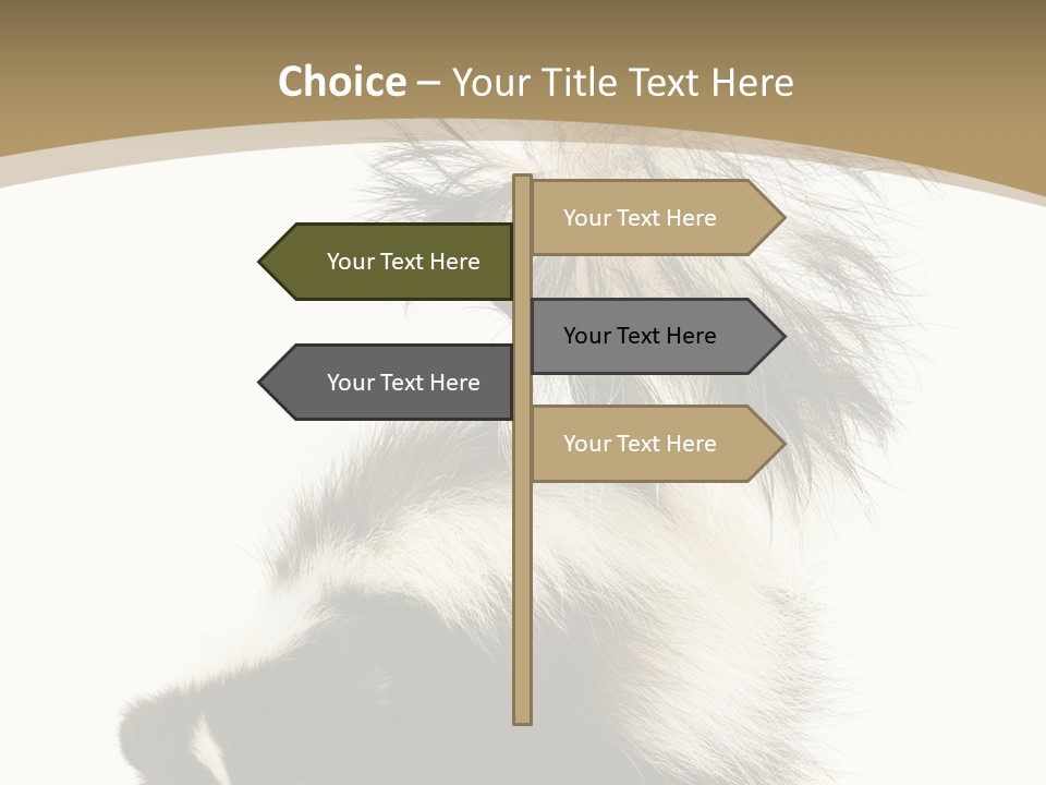 A Skunky Skunky Skunky Skunky Skunky PowerPoint Template